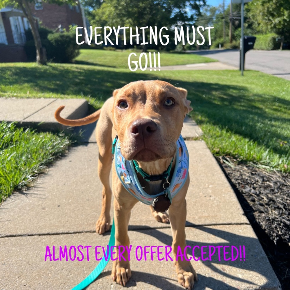 EVERYTHING MUST GO!!!